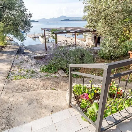 Vlahusic Putniković