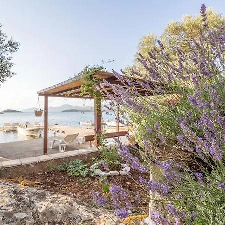 Vlahusic * Putniković